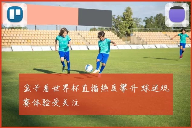 盒子看世界杯直播热度攀升 球迷观赛体验受关注