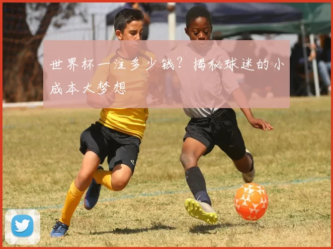 世界杯一注多少钱？揭秘球迷的小成本大梦想