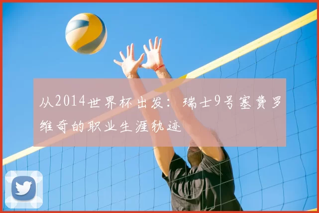 从2014世界杯出发：瑞士9号塞费罗维奇的职业生涯轨迹
