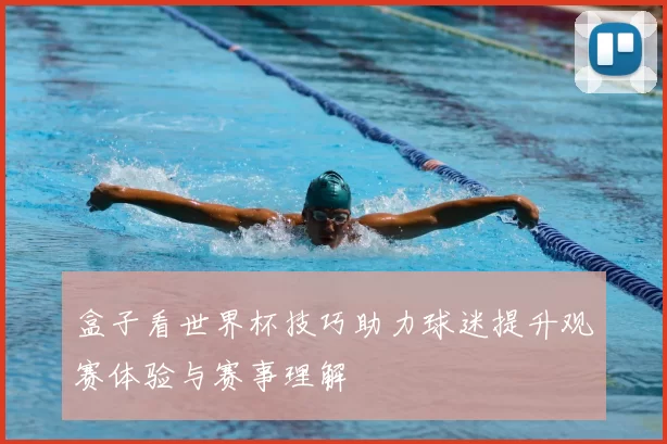 盒子看世界杯技巧助力球迷提升观赛体验与赛事理解