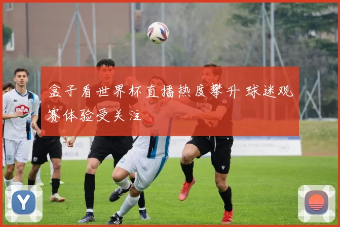 盒子看世界杯直播热度攀升 球迷观赛体验受关注