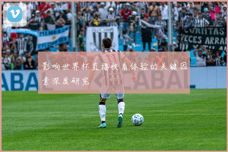 影响世界杯直播收看体验的关键因素深度研究