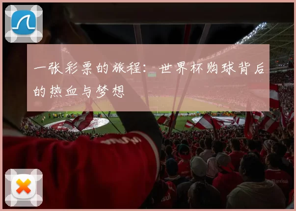 一张彩票的旅程：世界杯购球背后的热血与梦想
