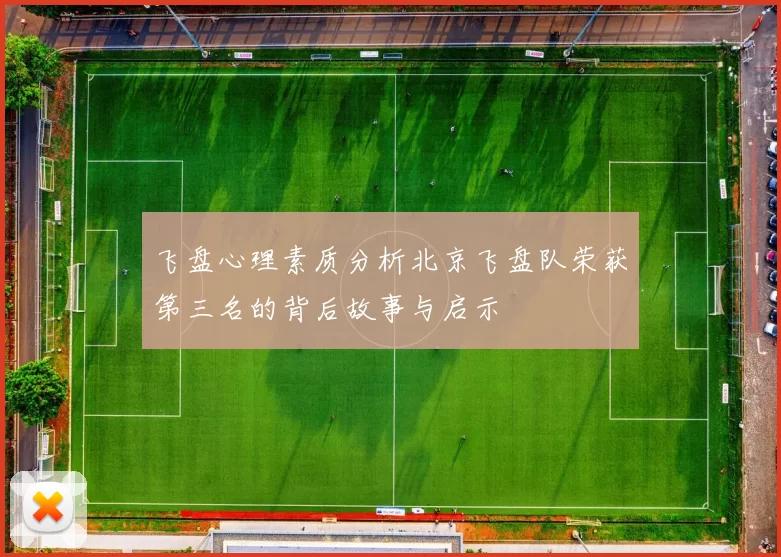 飞盘心理素质分析北京飞盘队荣获第三名的背后故事与启示