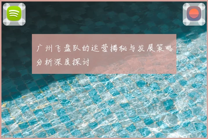 广州飞盘队的运营揭秘与发展策略分析深度探讨