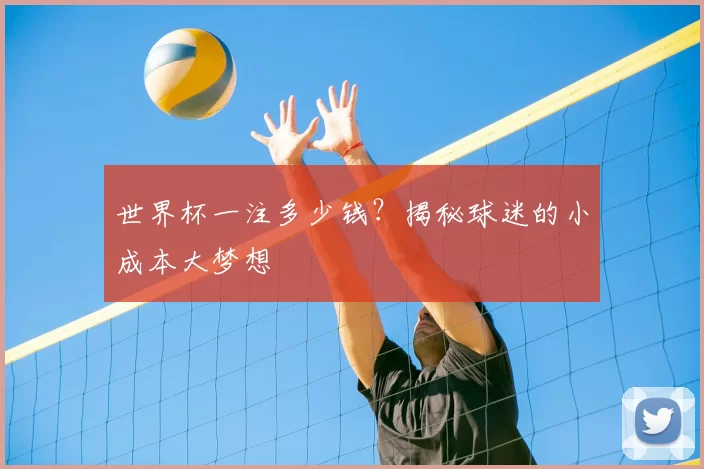 世界杯一注多少钱？揭秘球迷的小成本大梦想