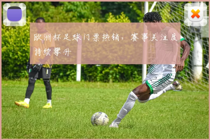 欧洲杯足球门票热销，赛事关注度持续攀升