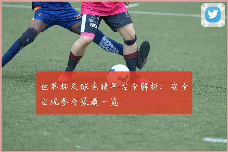 世界杯足球竞猜平台全解析：安全合规参与渠道一览